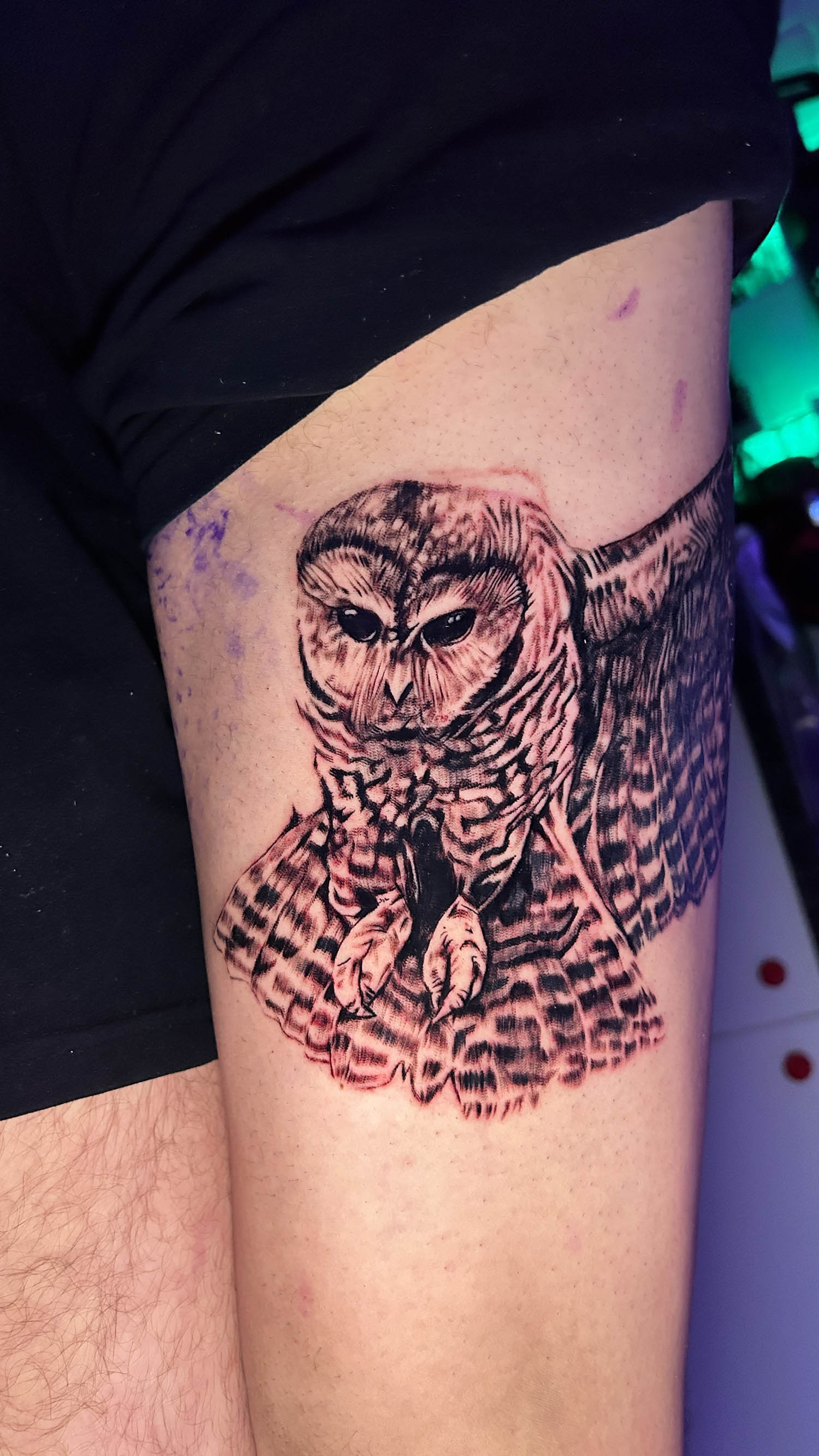 Owl thigh piece