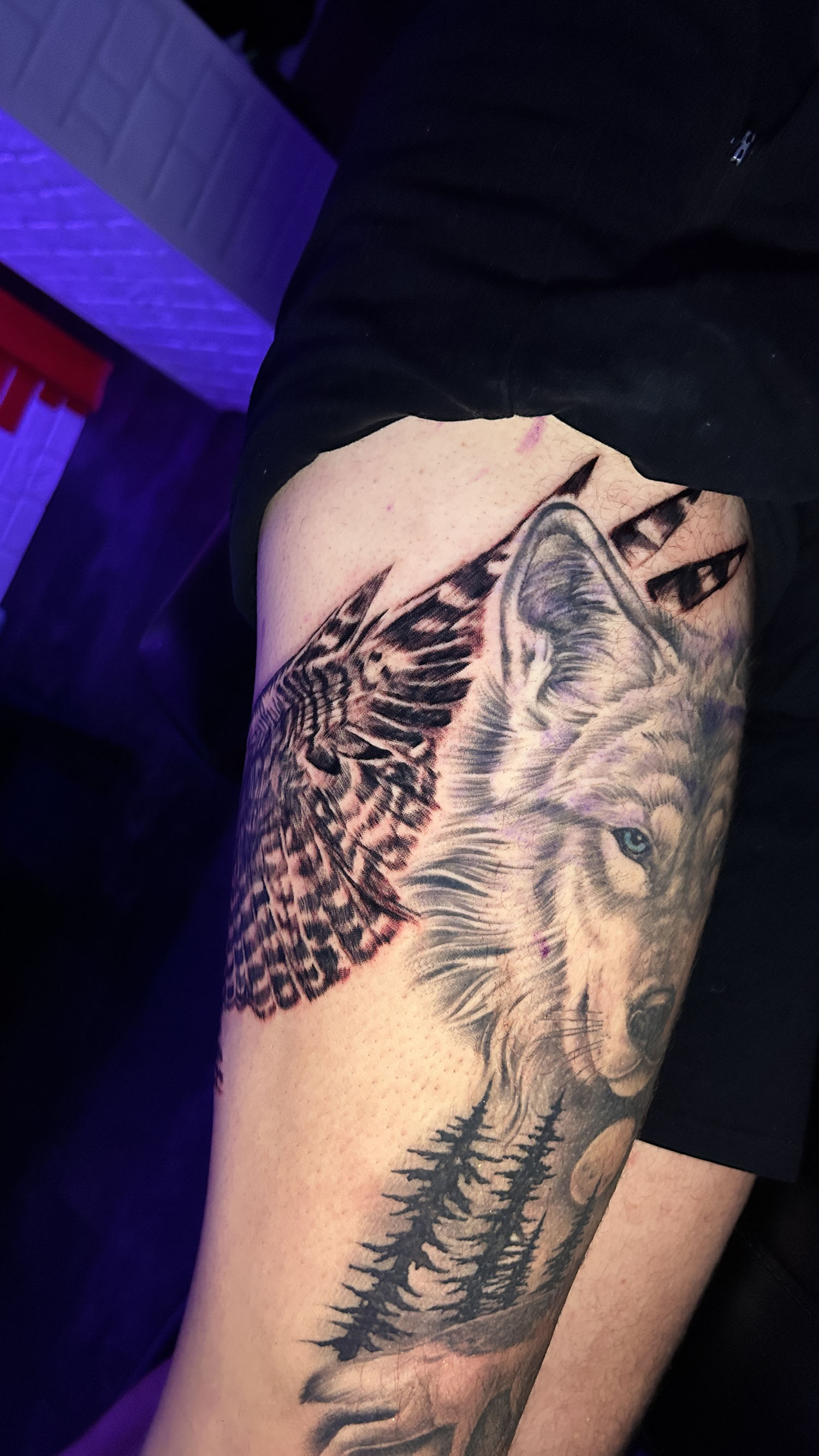 Owl thigh piece