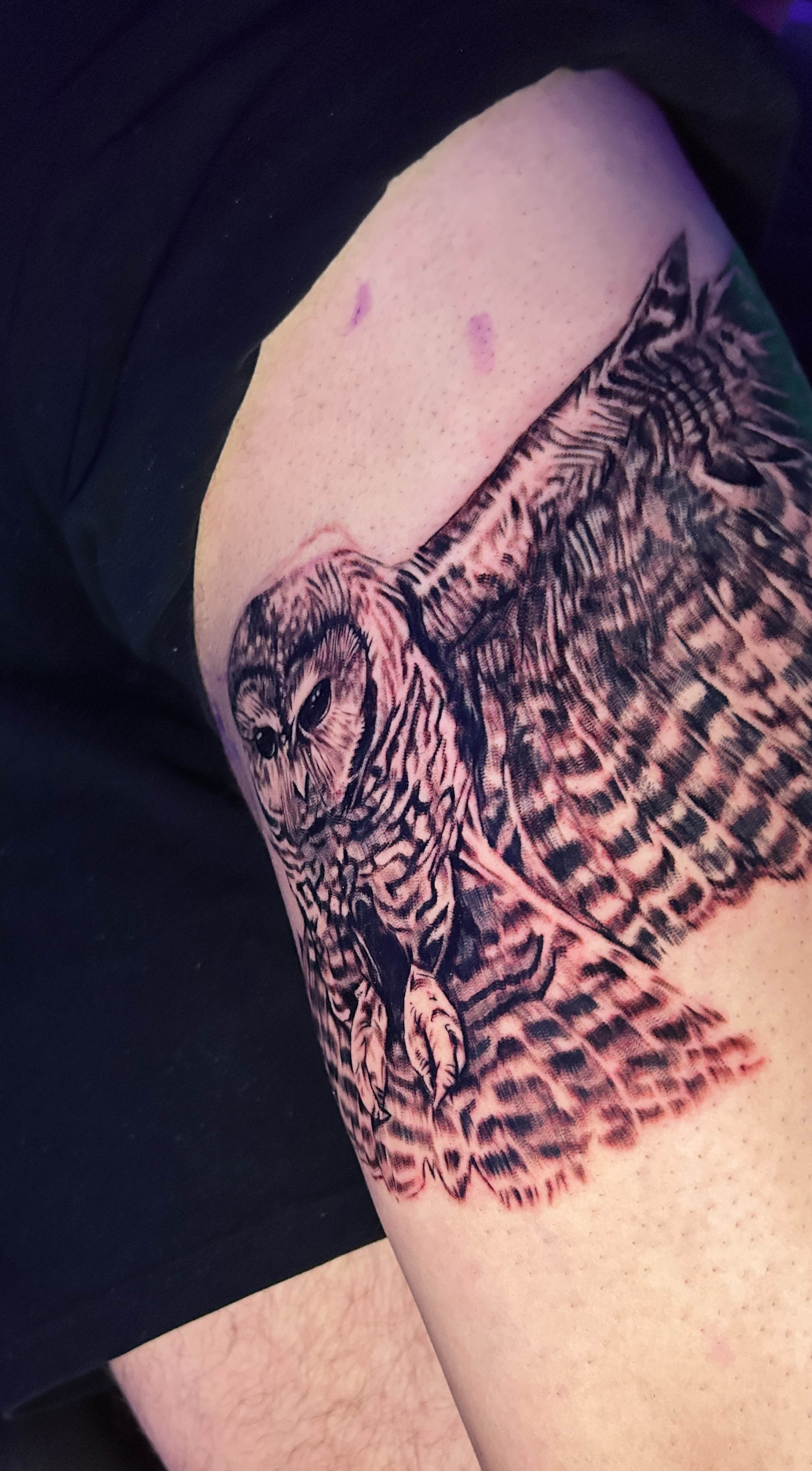 Owl thigh piece